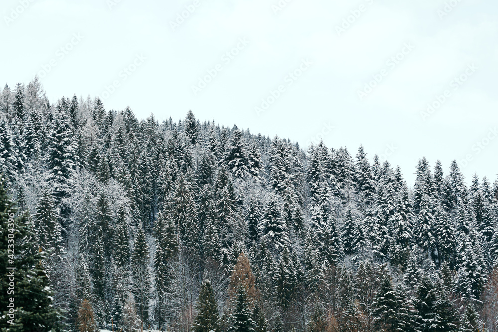 winter landscape of mountains and forests on cloudy day winter landscape of mountains and forests on cloudy day