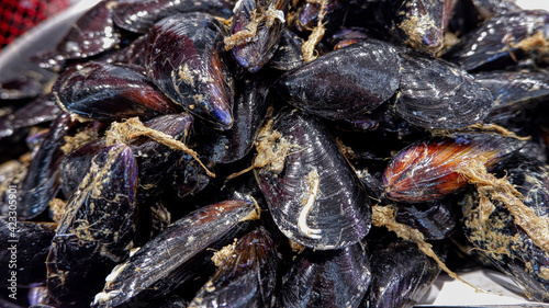 Close up of a fresh mussels for sale in the Valencia market. The mussel of Valencia is seasonal. These mussels have just arrived from the sea.