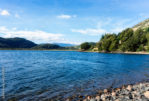 Fototapeta Naklejka Na Ścianę i Meble -  lago y arboles