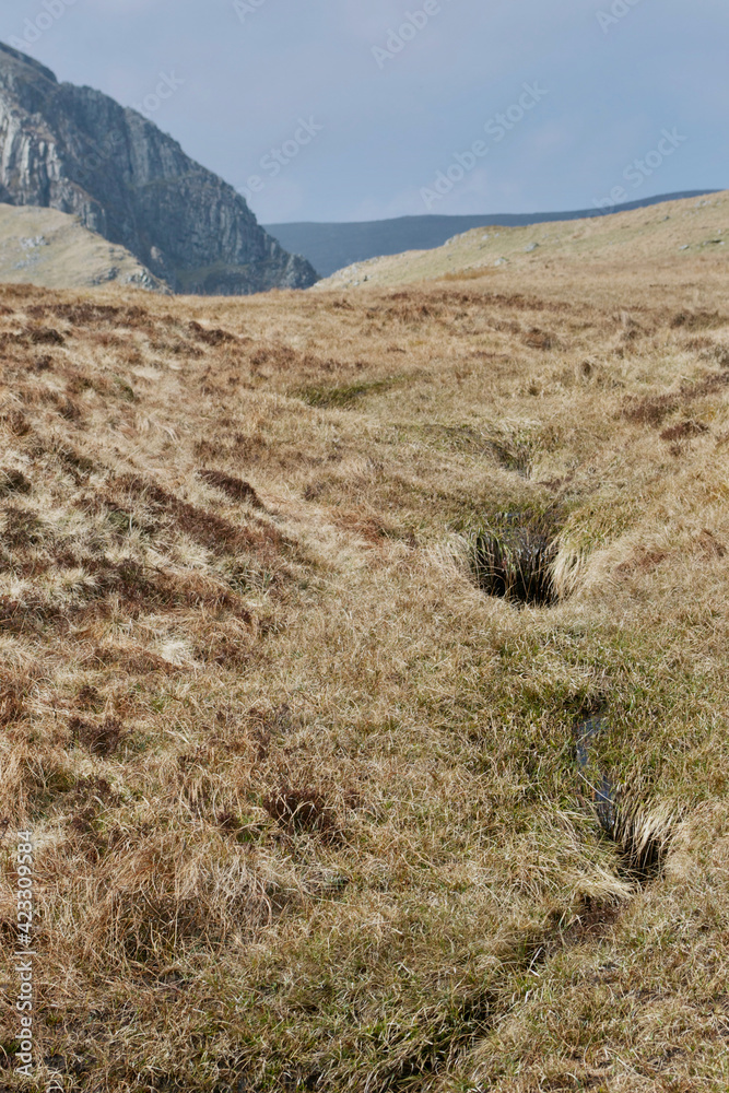 A boggy stream threading through the grass on top of a mountain; bog holes and a narrow trickle in the sodden ground