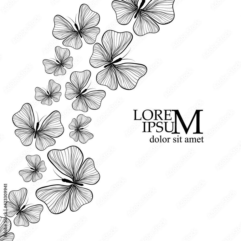 Postcard with monochrome beautiful butterflie. Black Butterfly from lines . Vector illustration