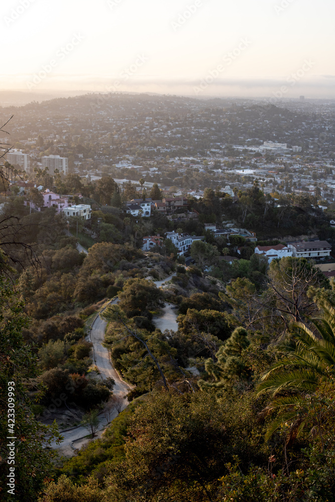 Obraz premium Griffith Park - Los Angeles View