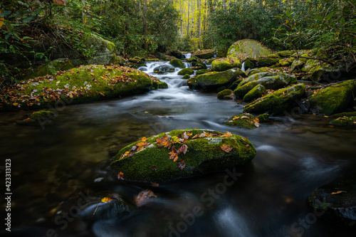 Single Leaf and Moss Covered Boulder In Stream