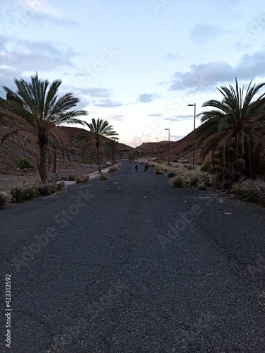 road in the desert © Melo Suárez Photos