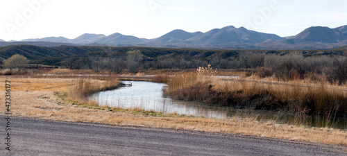 Hills and flowing water amidst dry grass in Bosque del Apache in New Mexico in early Spring