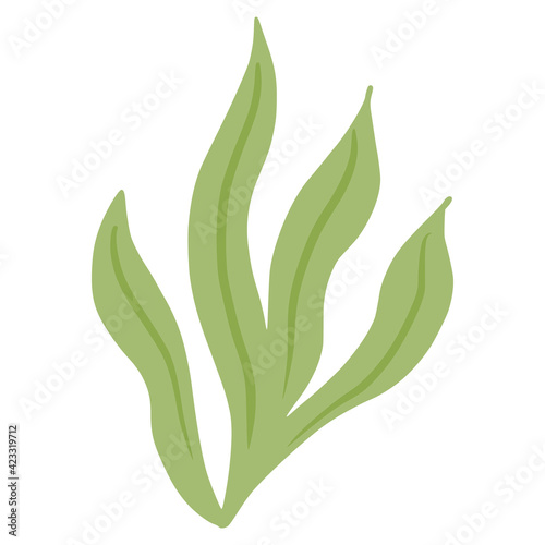 Ulva seaweed isolated on white background. Decorative symbol marine algae green color. Sketch in style doodle.