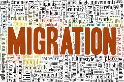 Migration vector illustration word cloud isolated on a white background.