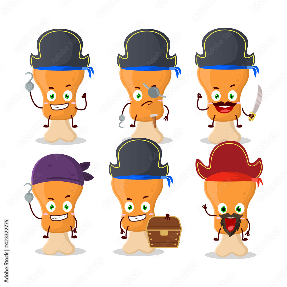 Cartoon character of chicken thight with various pirates emoticons Cartoon character of chicken thight with various pirates emoticons