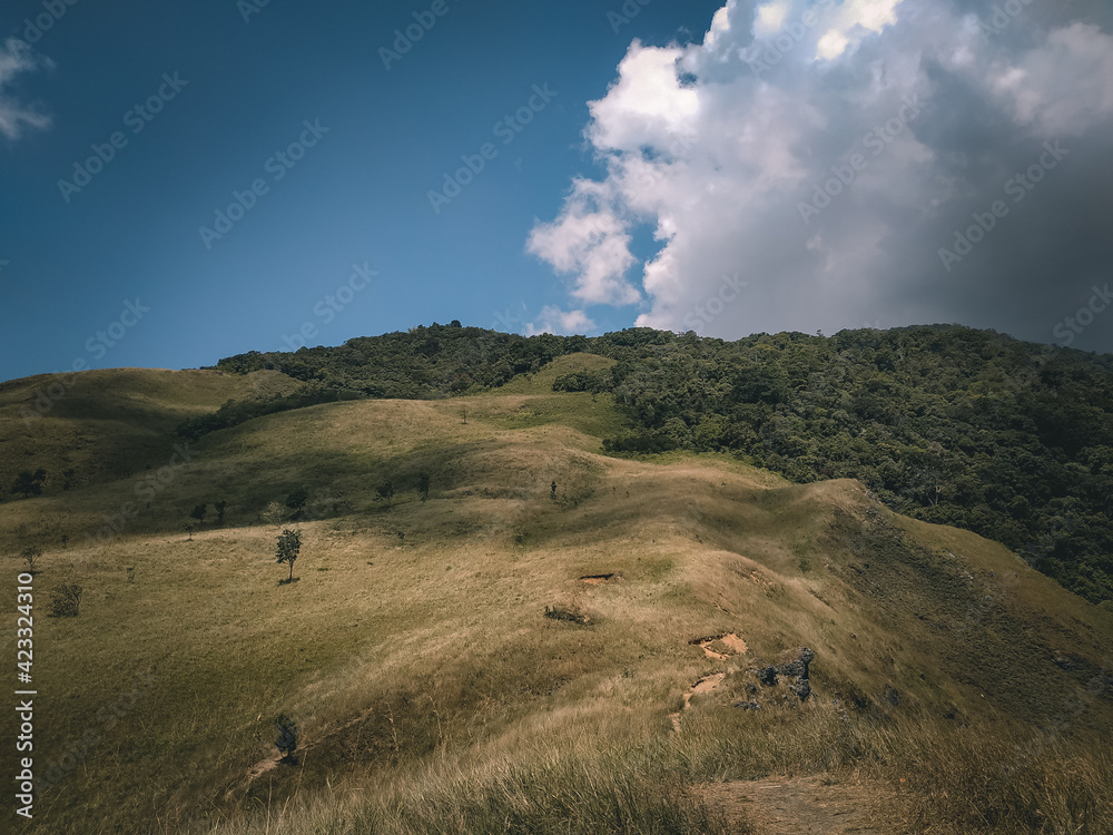 Obraz premium meadow hill with clouds