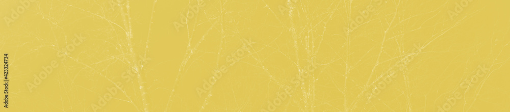 Fototapeta premium abstract light mustard color background for design