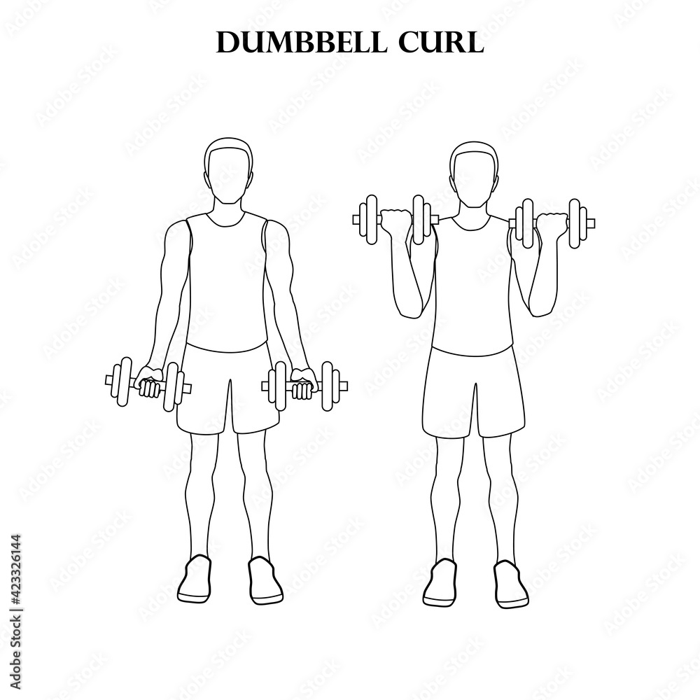 Dumbbell curl workout exercise vector illustration outline Stock Vector ...