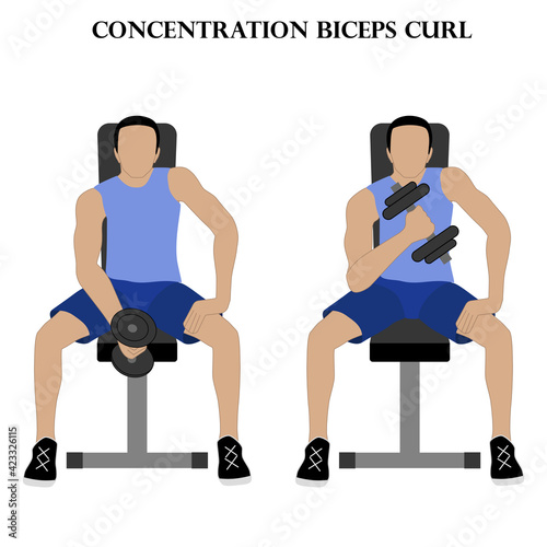 Concentration biceps curl exercise strength workout vector illustration