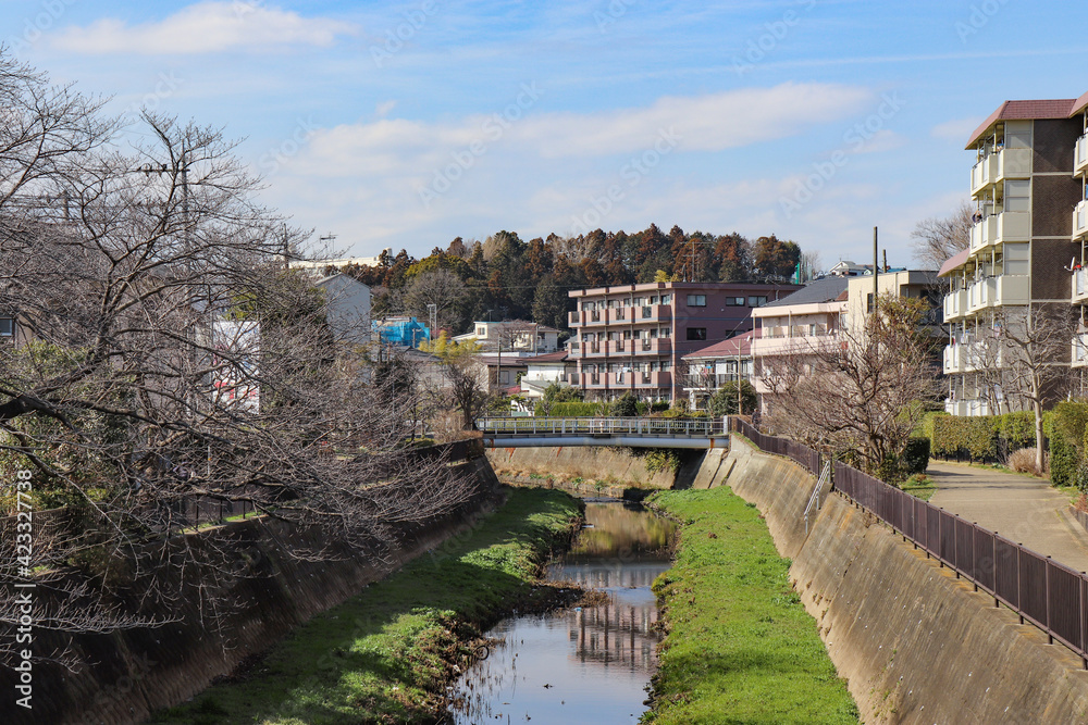 Fototapeta premium 阿久和川（神奈川県横浜市戸塚区）