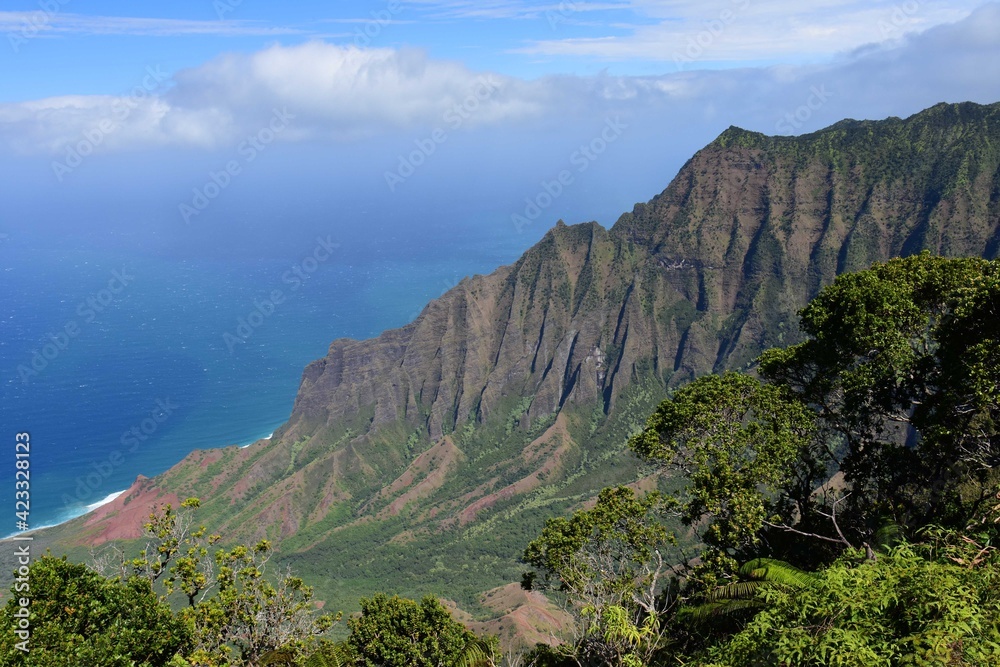 panoramic view of the remote kalalau valley and the pacific ocean from the pu'u o kila overlook, kauai, hawaii panoramic view of the remote kalalau valley and the pacific ocean from the pu'u o kila overlook, kauai, hawaii