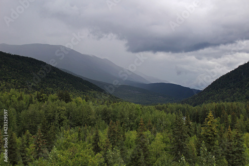 Valley in foggy Alaskan landscape