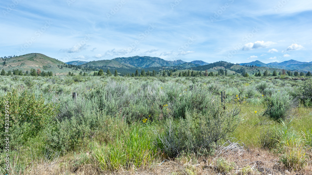 Mountain and Sage Brush Landscape of Pine Idaho