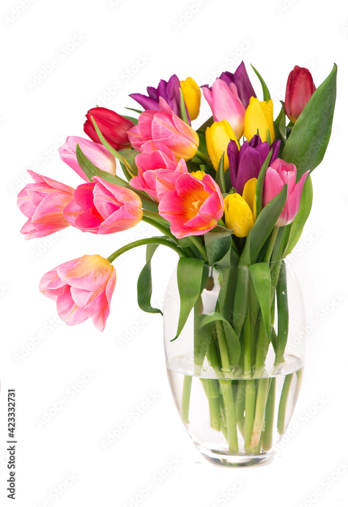 Many beautiful colorful tulips with leaves in a glass vase isolated on transparent background. Photo with fresh spring flowers for any festive design Many beautiful colorful tulips with leaves in a glass vase isolated on transparent background. Photo with fresh spring flowers for any festive design