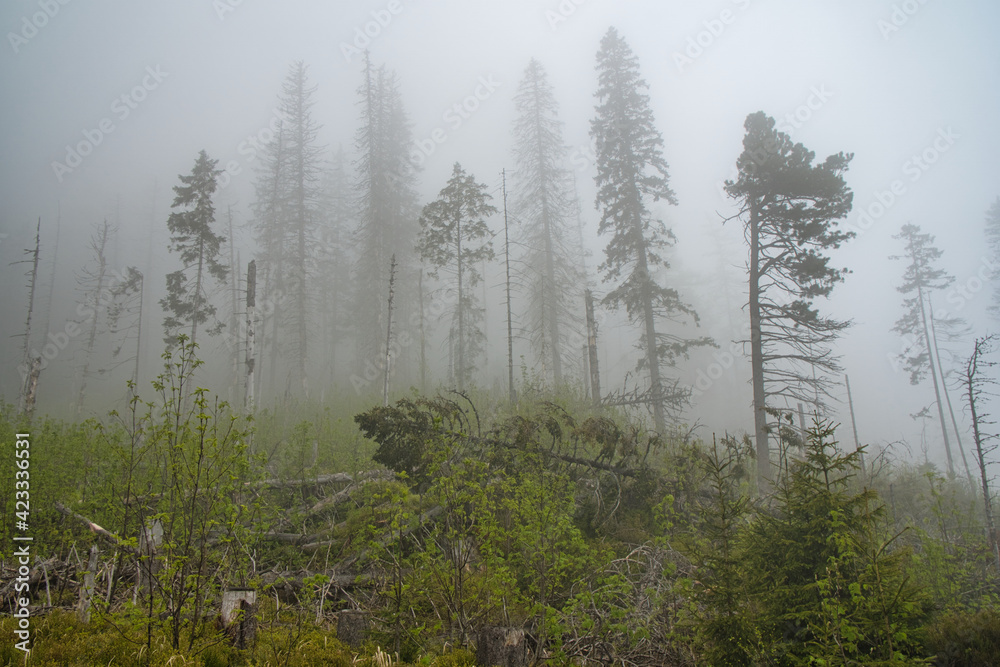 Landscape photo of the High Tatras National Park, Slovakia Landscape photo of the High Tatras National Park, Slovakia
