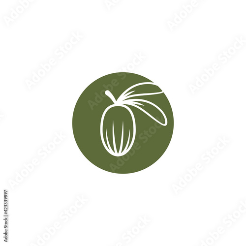 Shea nut green icon. vitellaria beauty and cosmetics oil. Cosmetic ingredient carotene, carotin.