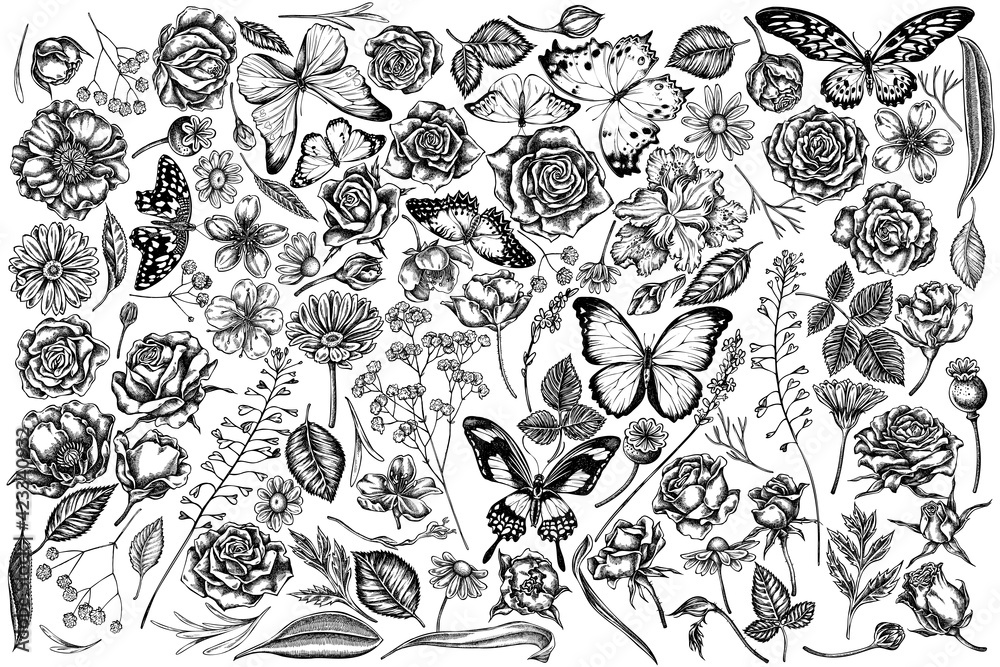 Vector set of hand drawn black and white shepherd's purse, heather, iris japonica, sakura, gypsophila, chamomile, almond, poppy flower, calendula, menelaus blue morpho, blue morpho, lemon butterfly