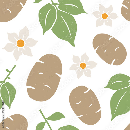 Potato seamless pattern. Ripe potatoes, leaves and flowers on white background. Vector shabby hand drawn illustration