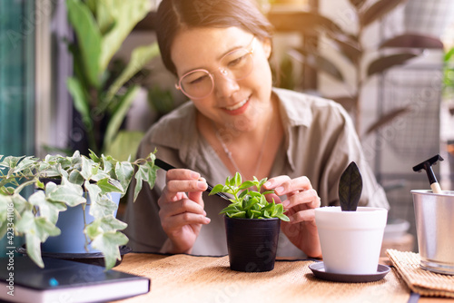 Happy asian woman gardener take care her green plant,Home gardening