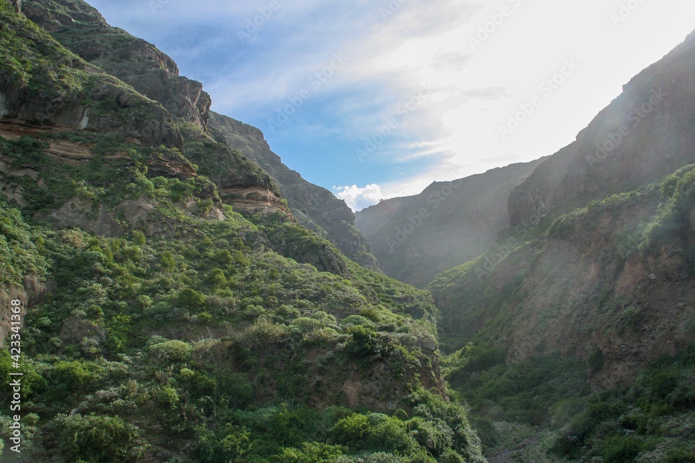 Naturaleza de la isla de Tenerife, bosque húmedo del norte. Montaña y un barranco muy escarpados con niebla en la isla de Tenerife, Islas Canarias, España.