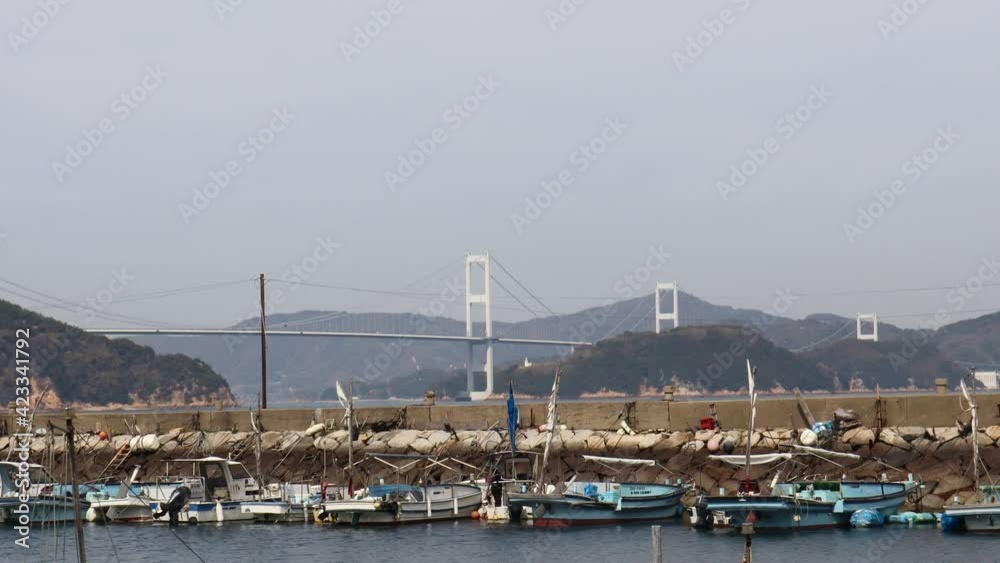 たくさんの漁船と来島海峡大橋(しまなみ海道) 愛媛県今治市 たくさんの漁船と来島海峡大橋(しまなみ海道) 愛媛県今治市