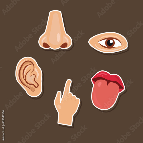 Five human senses vector icon