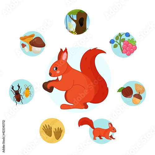 Vector illustration of forest animals. Cute cartoon squirrel. Set of icons. 