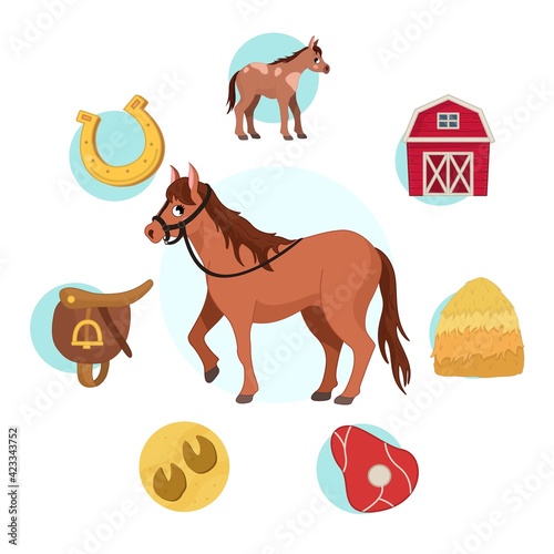 Vector illustration of farm animals. Cute cartoon horse. Set of icons. Benefits of farm animals
