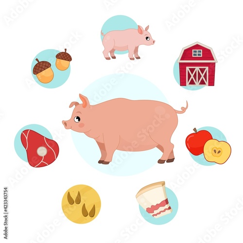 Vector illustration of farm animals. Cute cartoon pig. Set of icons. Benefits of farm animals  © Алёна Игдеева