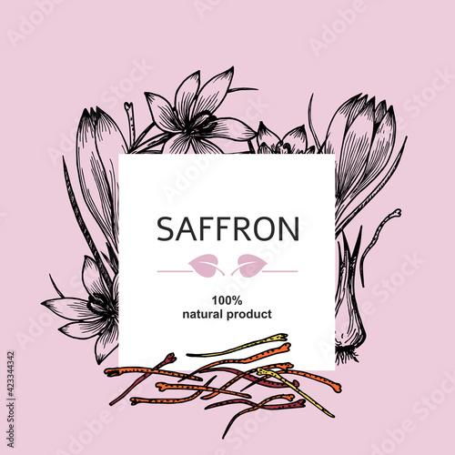 Background with saffron flower and saffron stamens. Cosmetic, perfumery and medical plant. Vintage card with crocus flowers. Vector hand drawn illustration. Spices and aromatic raw materials