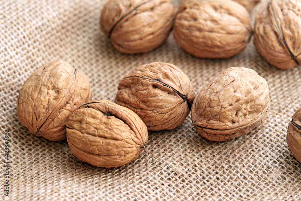 Close-up walnuts lie on a burlap. Close-up walnuts lie on a burlap.