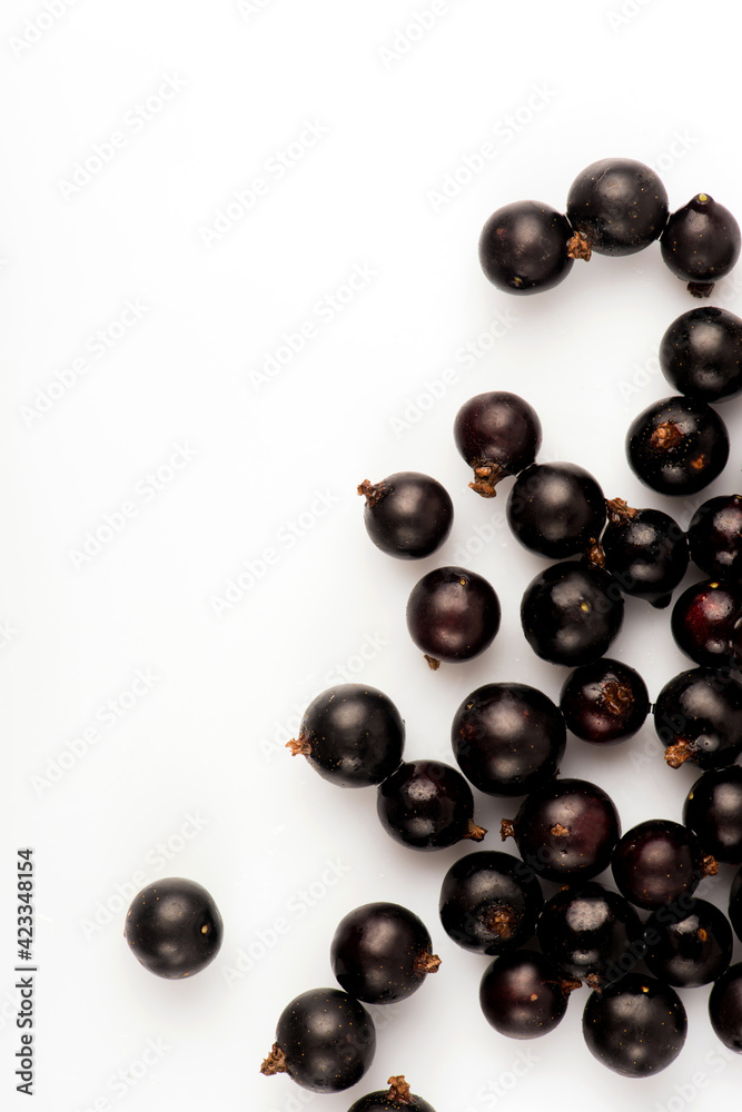 Black currant. Ripe juicy black currant berries isolated on white background