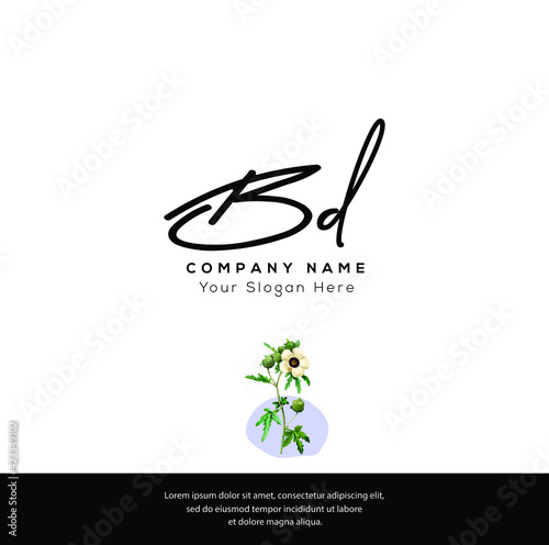 B D BD  Initial letter handwriting and signature logo. Beauty vector initial logo .Fashion, boutique, floral and botanical	 photo