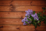 Boarder background with a lush branch of purple lilac with a copy space, empty text place. Top view. Beautiful business gift certificate. Online gardening courses. Springtime postcard. Mockup design