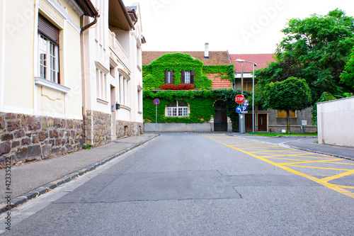 Low section of cozy street with building facade covered with ivy © Ceban