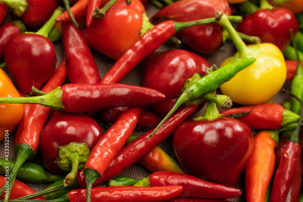 chili round and long pod pepper red and yellow vegetable background