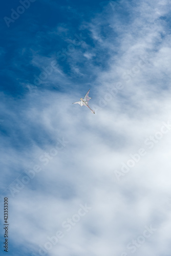 Colorful Kites flying over the sky