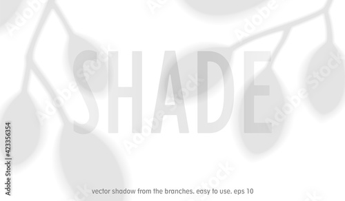 Shadow from branches with leaves. Transparent overlay template with silhouette of leaves. Created with the Blend tool. Vector design