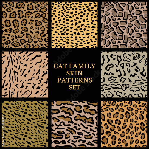 Cat family skin patterns set, animals skin pattern