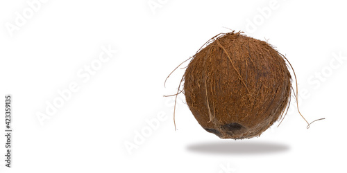 whole coconut on a white background. Coco, ripe palm fruit. outside of the fruit is covered with a leathery exocarp. nut is useful, improves the condition of the body in many diseases. copy space