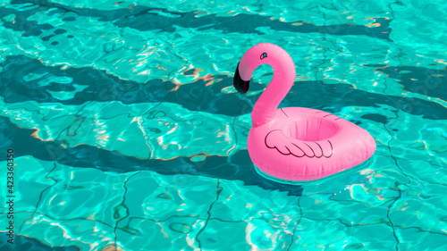 Summer fun isolated. Pink inflatable flamingo in pool water for summer beach background. Funny bird toy for kids. © Maksym