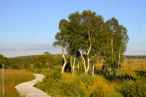 Moore Hohes Venn Eifel Belgien
