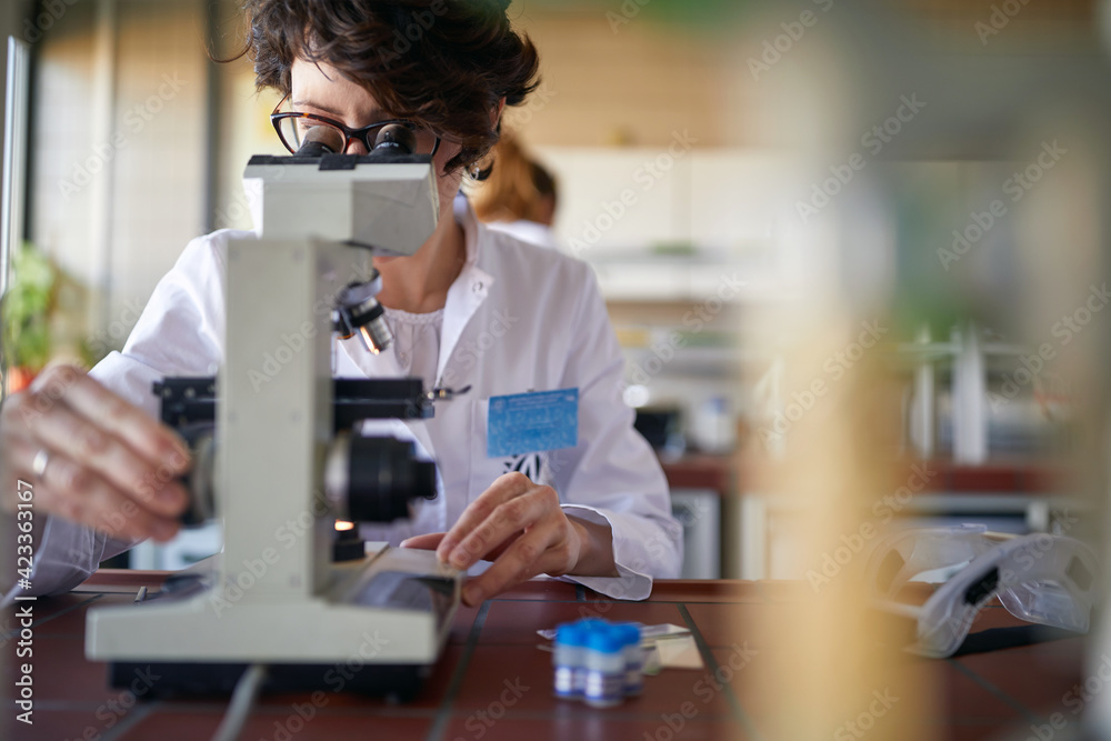 A young female scientist works at the microscope in the university laboratory. Science, chemistry, lab, people A young female scientist works at the microscope in the university laboratory. Science, chemistry, lab, people