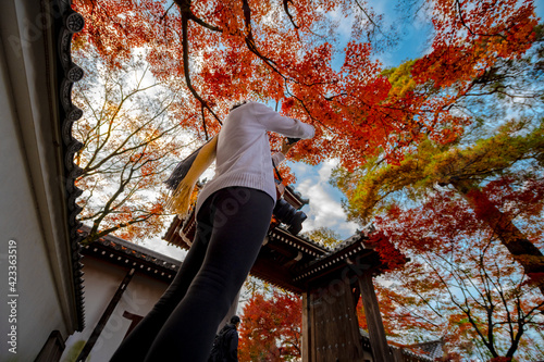 Photography tourist or raveler enjoy takes photo of the autumn season change in public garde
