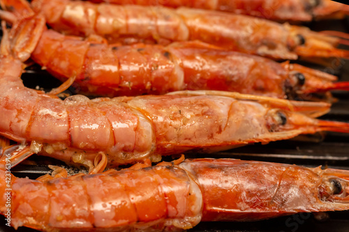 large argentinian shrimp vertical row close-up on a grill background