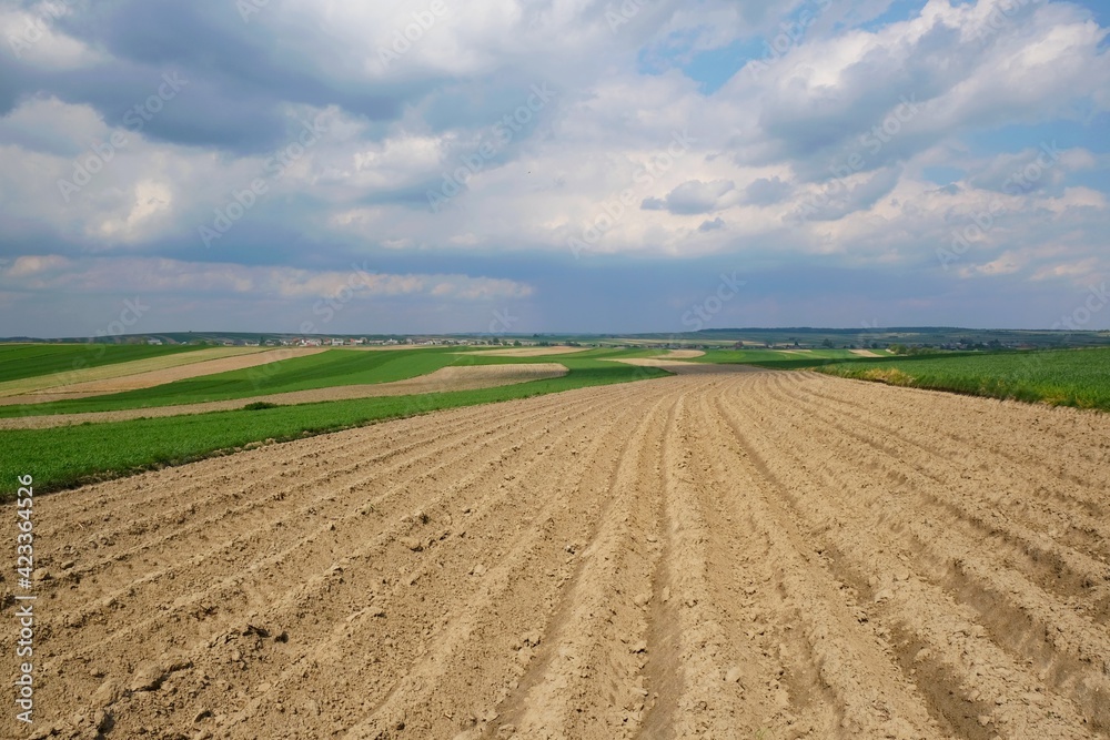 A close-up of furrows in a freshly plowed field in spring. Krakowsko-Czestochowska Upland, Silesia, Poland