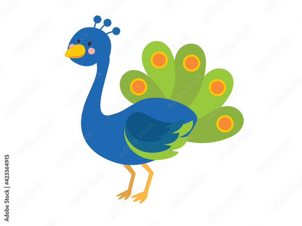 Fototapeta premium peacock